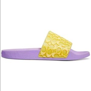 Women sport pool Slides